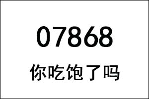 07868是什么意思