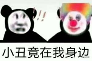 沙口是什么梗