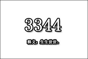 3344是什么意思