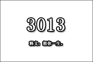 数字3013是什么意思