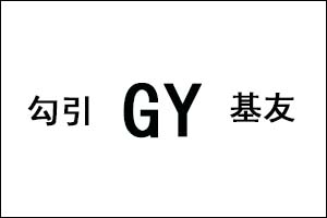 GY是什么意思