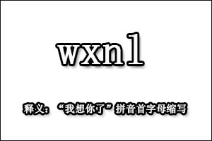 wxnl是什么意思