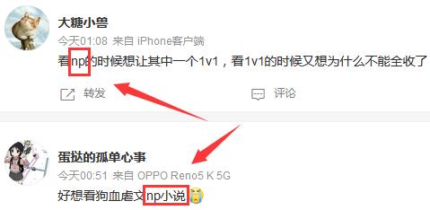 np是什么意思网络用语