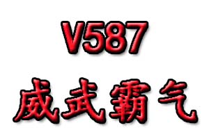 V587是什么意思