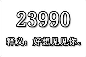 23990是什么意思