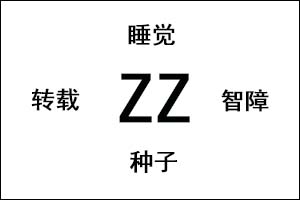 ZZ是什么意思