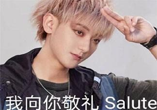 salute是什么梗