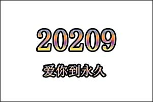 20209是什么意思