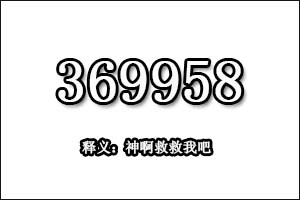 369958是什么意思