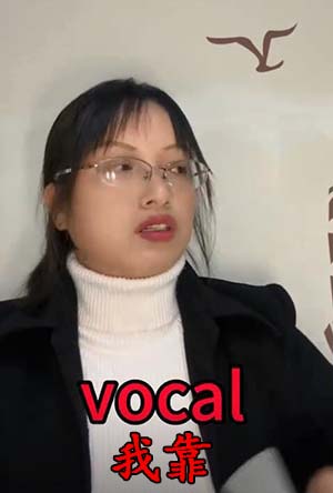 vocal是什么意思网络用语