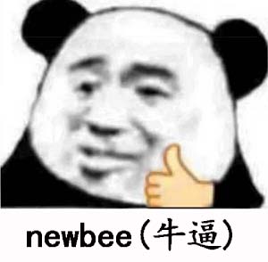 newbee什么意思梗 树新风是什么意思