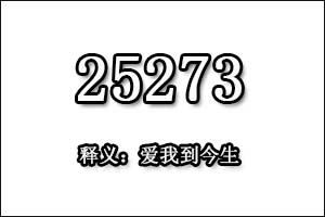 25273是什么意思