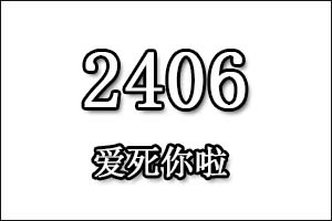 2406是什么意思