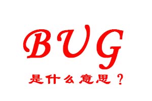 BUG是什么意思