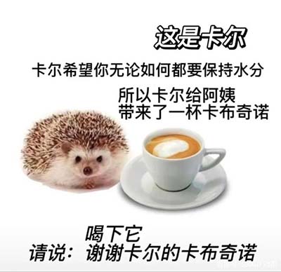 卡尔是什么梗 小刺猬卡尔是什么梗