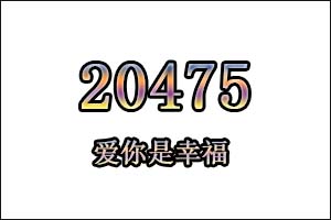 20475是什么意思