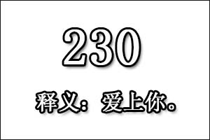 在爱情中230是什么意思