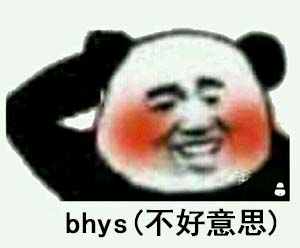 bhys是什么意思