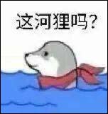 这河里吗是什么意思？这河里吗表情包