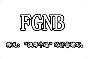 FGNB是什么梗