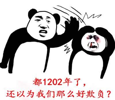 1202年什么梗