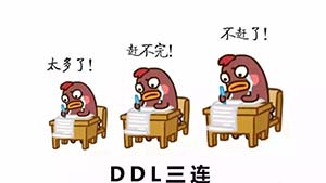 ddl是什么意思 ddl是什么梗