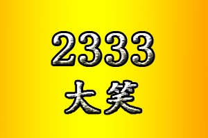 2333是什么意思