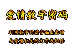 爱情数字密码是什么意思