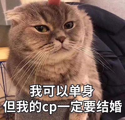 磕cp是什么意思 嗑cp和磕cp哪个正确