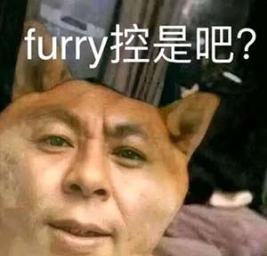 福瑞控是什么意思 furry控什么意思