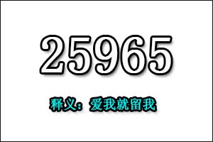 25965是什么意思