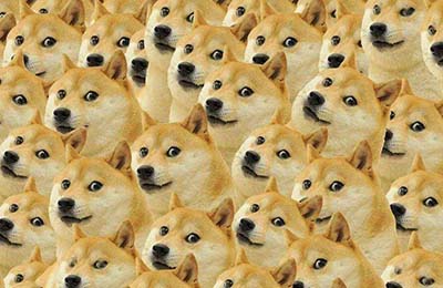 doge是什么梗