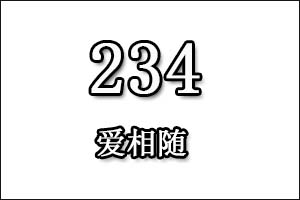 234是什么意思