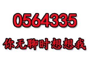 0564335是什么意思