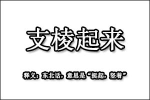 支棱起来是什么梗 支棱起来是什么意思