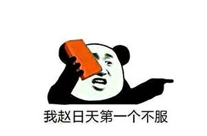 赵日天是什么梗