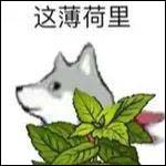 这河里吗是什么意思？这河里吗表情包