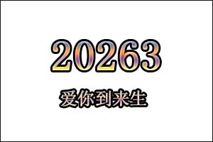 20263是什么意思