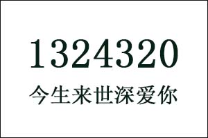 1324320是什么意思