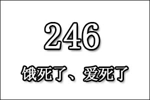 246是什么意思