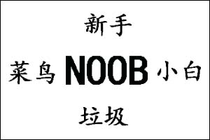 NOOB是什么意思