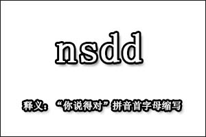 饭圈用语nsdd是什么意思