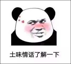 土味是什么意思