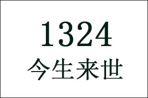 1324是什么意思