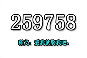 259758是什么意思