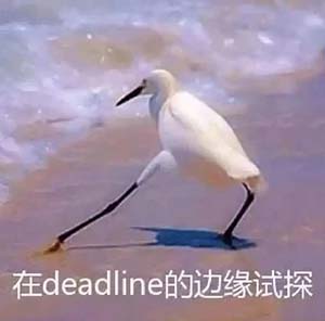 ddl是什么意思 ddl是什么梗