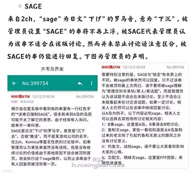 a岛sage是什么意思