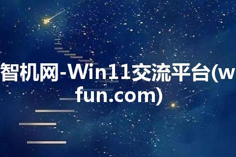 智机网-Win11交流平台(wfun.com)