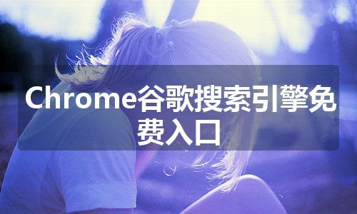 Chrome谷歌搜索引擎免费入口