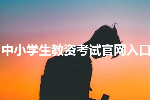 中小学生教资考试官网入口